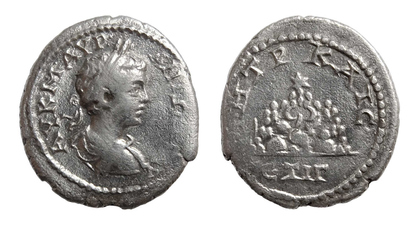 Drachma Karakalli wybita w Cezarei w Kapadocji w 204/205 r. n.e. (13 rok panowania Septymiusza Sewera), fot. Piotr Jaworski