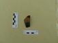 Fragment naczynia czarnofigurowego / fragment of a black-figured vessel